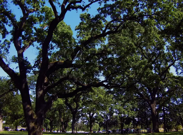 Elk Grove Park
