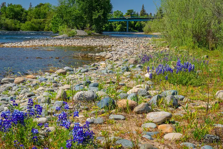City of Rancho Cordova American River